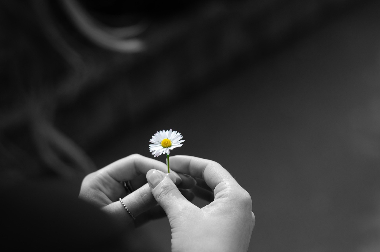 A back and white image of a person holding a daisy flower